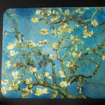 Almendro en Flor
